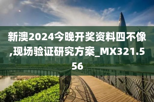 新澳2024今晚开奖资料四不像,现场验证研究方案_MX321.556