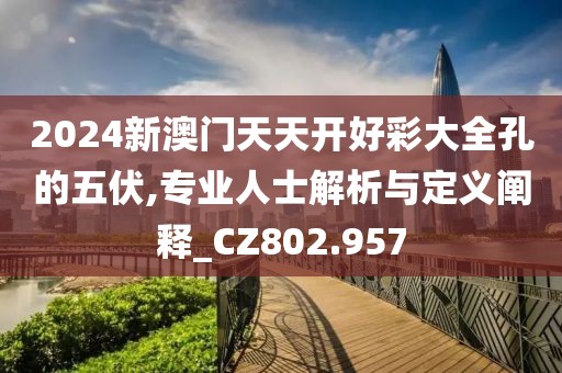 2024新澳门天天开好彩大全孔的五伏,专业人士解析与定义阐释_CZ802.957