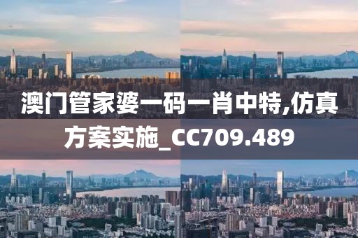 澳门管家婆一码一肖中特,仿真方案实施_CC709.489