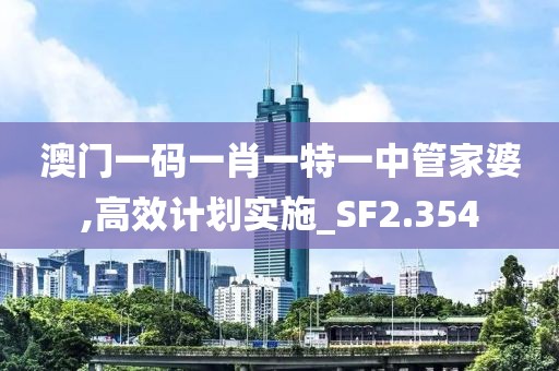 澳门一码一肖一特一中管家婆,高效计划实施_SF2.354