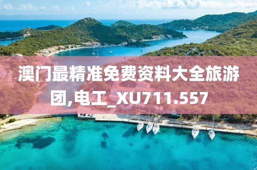 澳门最精准免费资料大全旅游团,电工_XU711.557