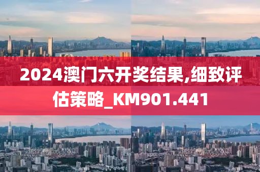 2024澳门六开奖结果,细致评估策略_KM901.441