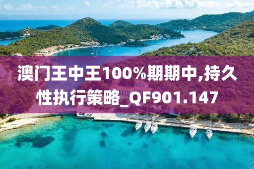 澳门王中王100%期期中,持久性执行策略_QF901.147