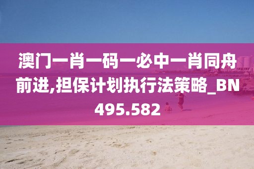 澳门一肖一码一必中一肖同舟前进,担保计划执行法策略_BN495.582