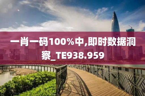 一肖一码100%中,即时数据洞察_TE938.959