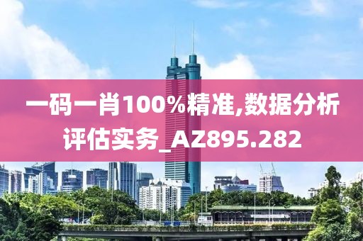 一码一肖100%精准,数据分析评估实务_AZ895.282