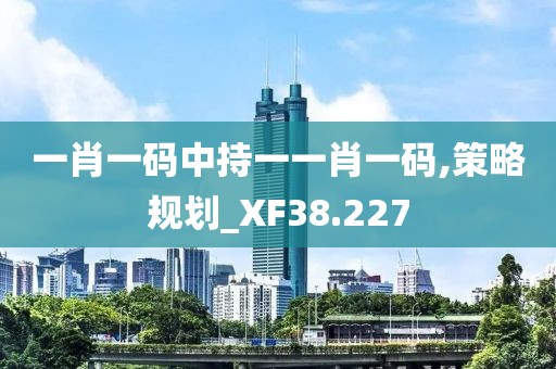 一肖一码中持一一肖一码,策略规划_XF38.227