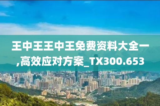 王中王王中王免费资料大全一,高效应对方案_TX300.653