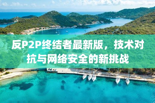 反P2P终结者最新版，技术对抗与网络安全的新挑战