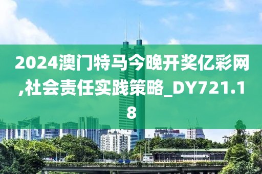 2024澳门特马今晚开奖亿彩网,社会责任实践策略_DY721.18