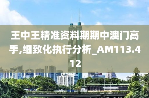 王中王精准资料期期中澳门高手,细致化执行分析_AM113.412