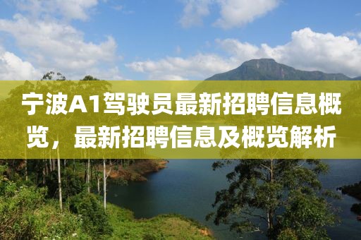 宁波A1驾驶员最新招聘信息概览，最新招聘信息及概览解析