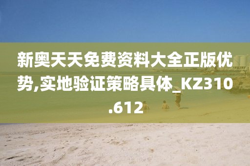 新奥天天免费资料大全正版优势,实地验证策略具体_KZ310.612