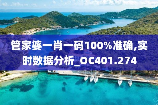 管家婆一肖一码100%准确,实时数据分析_OC401.274