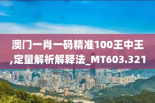 澳门一肖一码精准100王中王,定量解析解释法_MT603.321