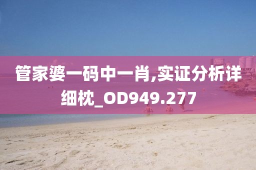 管家婆一码中一肖,实证分析详细枕_OD949.277