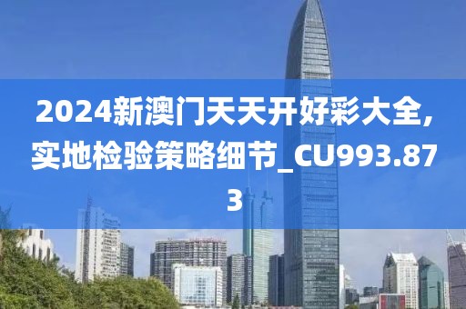 2024新澳门天天开好彩大全,实地检验策略细节_CU993.873