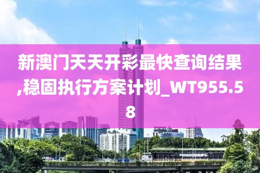 新澳门天天开彩最快查询结果,稳固执行方案计划_WT955.58
