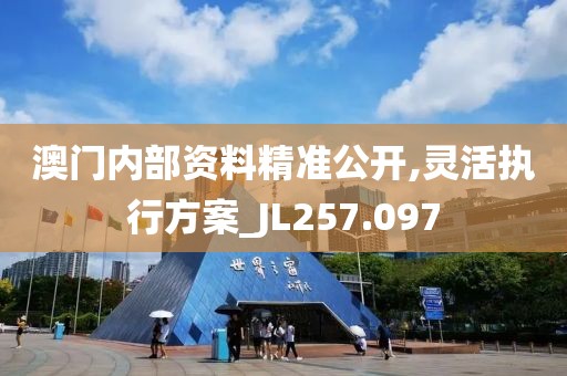 澳门内部资料精准公开,灵活执行方案_JL257.097