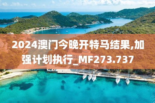 2024澳门今晚开特马结果,加强计划执行_MF273.737