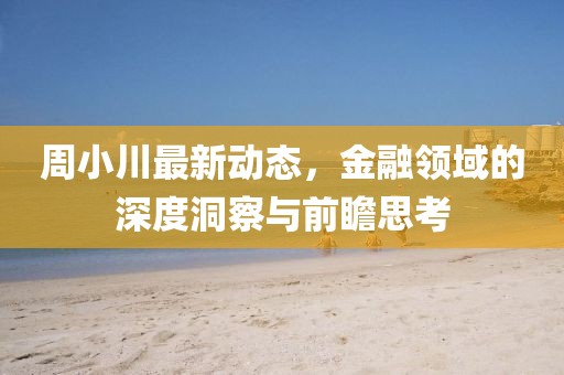 周小川最新动态，金融领域的深度洞察与前瞻思考
