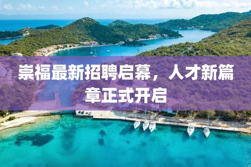崇福最新招聘启幕，人才新篇章正式开启