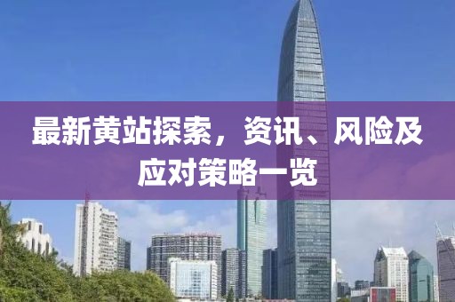 最新黄站探索，资讯、风险及应对策略一览