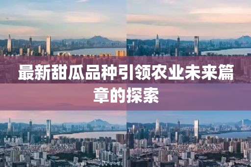 最新甜瓜品种引领农业未来篇章的探索