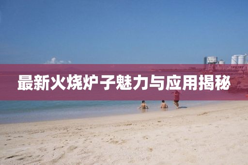 最新火烧炉子魅力与应用揭秘