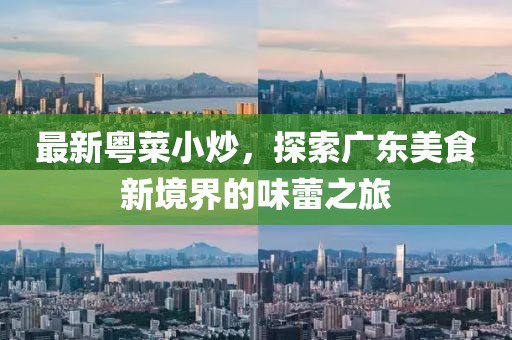 最新粤菜小炒，探索广东美食新境界的味蕾之旅