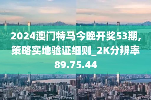 2024澳门特马今晚开奖53期,策略实地验证细则_2K分辨率89.75.44