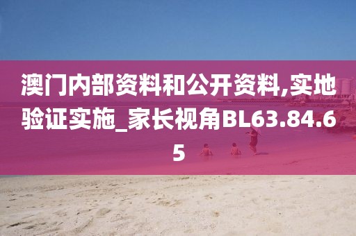 澳门内部资料和公开资料,实地验证实施_家长视角BL63.84.65