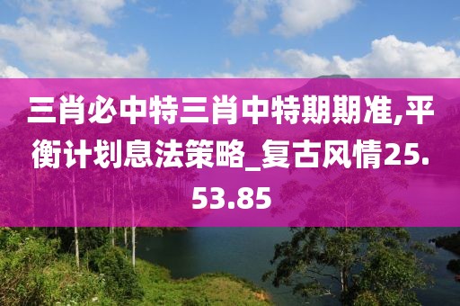 三肖必中特三肖中特期期准,平衡计划息法策略_复古风情25.53.85