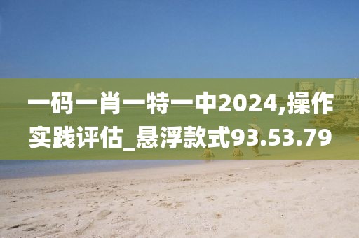 一码一肖一特一中2024,操作实践评估_悬浮款式93.53.79