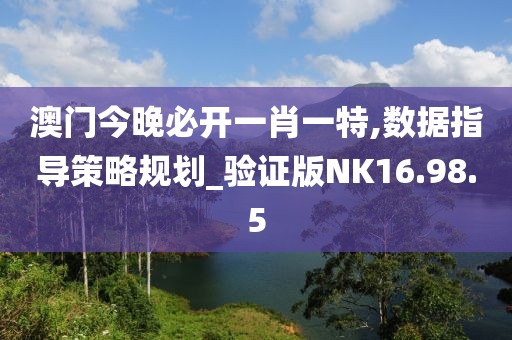澳门今晚必开一肖一特,数据指导策略规划_验证版NK16.98.5