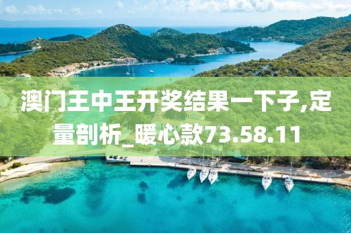 澳门王中王开奖结果一下子,定量剖析_暖心款73.58.11