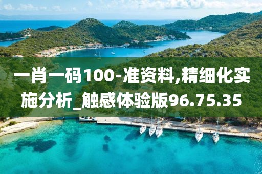 一肖一码100-准资料,精细化实施分析_触感体验版96.75.35