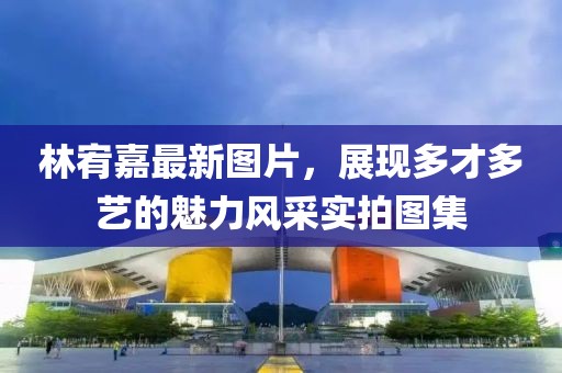 林宥嘉最新图片，展现多才多艺的魅力风采实拍图集