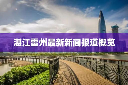湛江雷州最新新闻报道概览