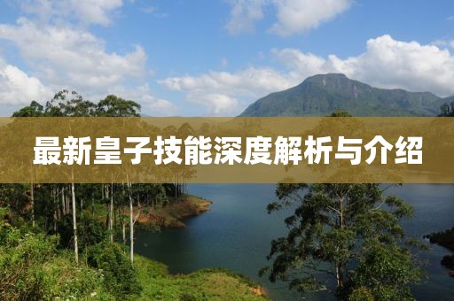 最新皇子技能深度解析与介绍