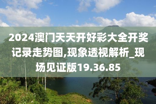 2024澳门天天开好彩大全开奖记录走势图,现象透视解析_现场见证版19.36.85