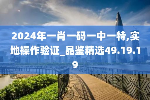 2024年一肖一码一中一特,实地操作验证_品鉴精选49.19.19