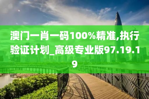 澳门一肖一码100%精准,执行验证计划_高级专业版97.19.19