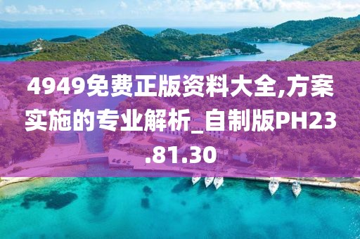 4949免费正版资料大全,方案实施的专业解析_自制版PH23.81.30