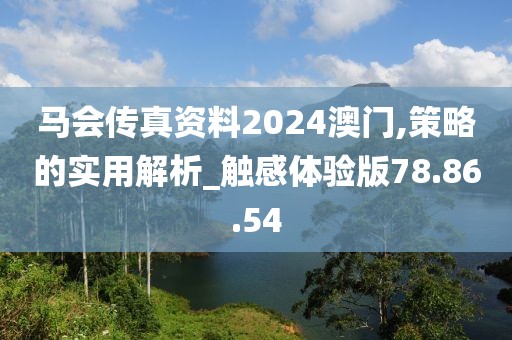 马会传真资料2024澳门,策略的实用解析_触感体验版78.86.54