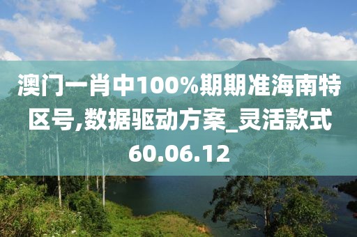 澳门一肖中100%期期准海南特区号,数据驱动方案_灵活款式60.06.12