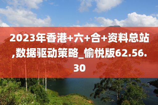 2023年香港+六+合+资料总站,数据驱动策略_愉悦版62.56.30
