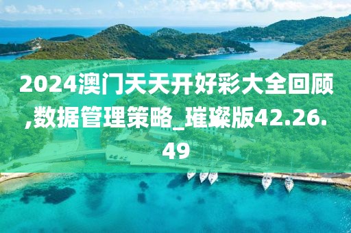 2024澳门天天开好彩大全回顾,数据管理策略_璀璨版42.26.49