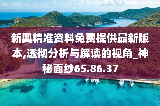 新奥精准资料免费提供最新版本,透彻分析与解读的视角_神秘面纱65.86.37