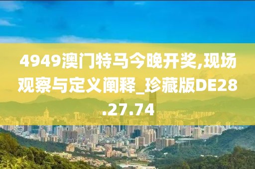 4949澳门特马今晚开奖,现场观察与定义阐释_珍藏版DE28.27.74